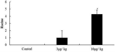 Changes in the Blood-Brain Barrier Function Are Associated With Hippocampal Neuron Death in a Kainic Acid Mouse Model of Epilepsy